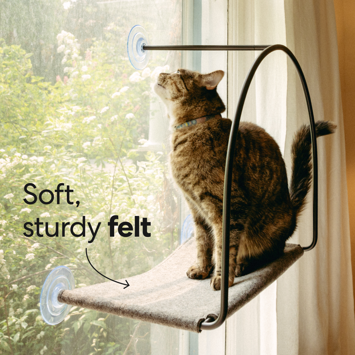 Cloud Nine Window Hammock