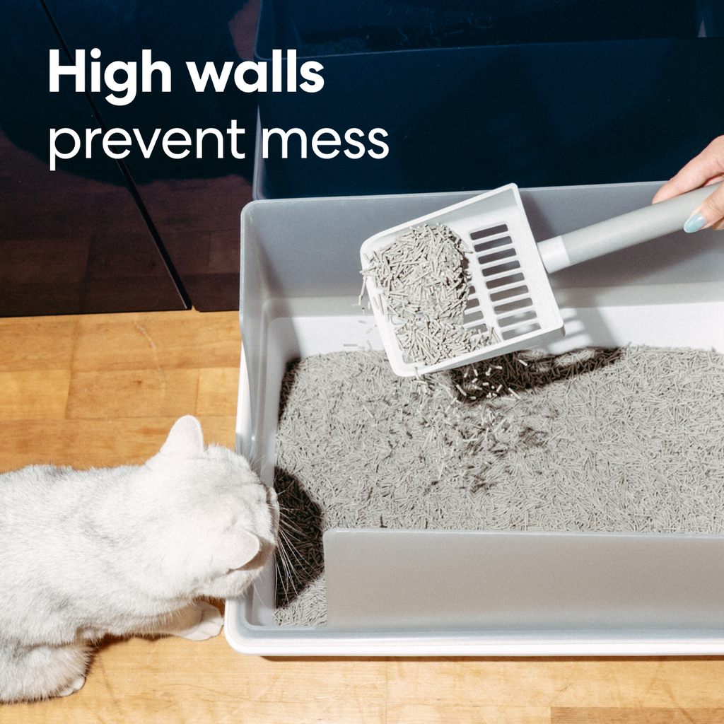 Cubby Litter Box