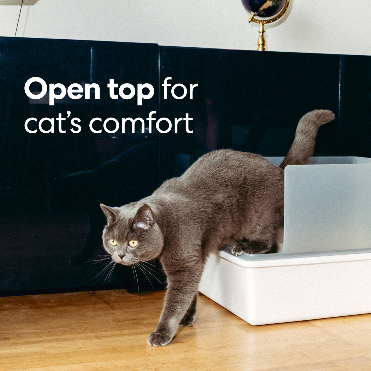 Cubby Litter Box