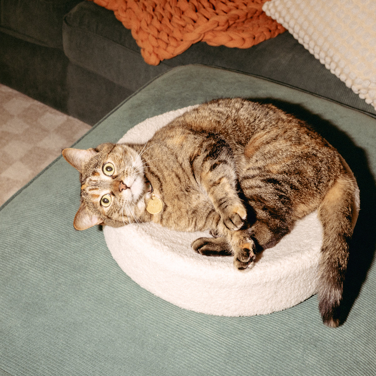 Kip Cat Bed