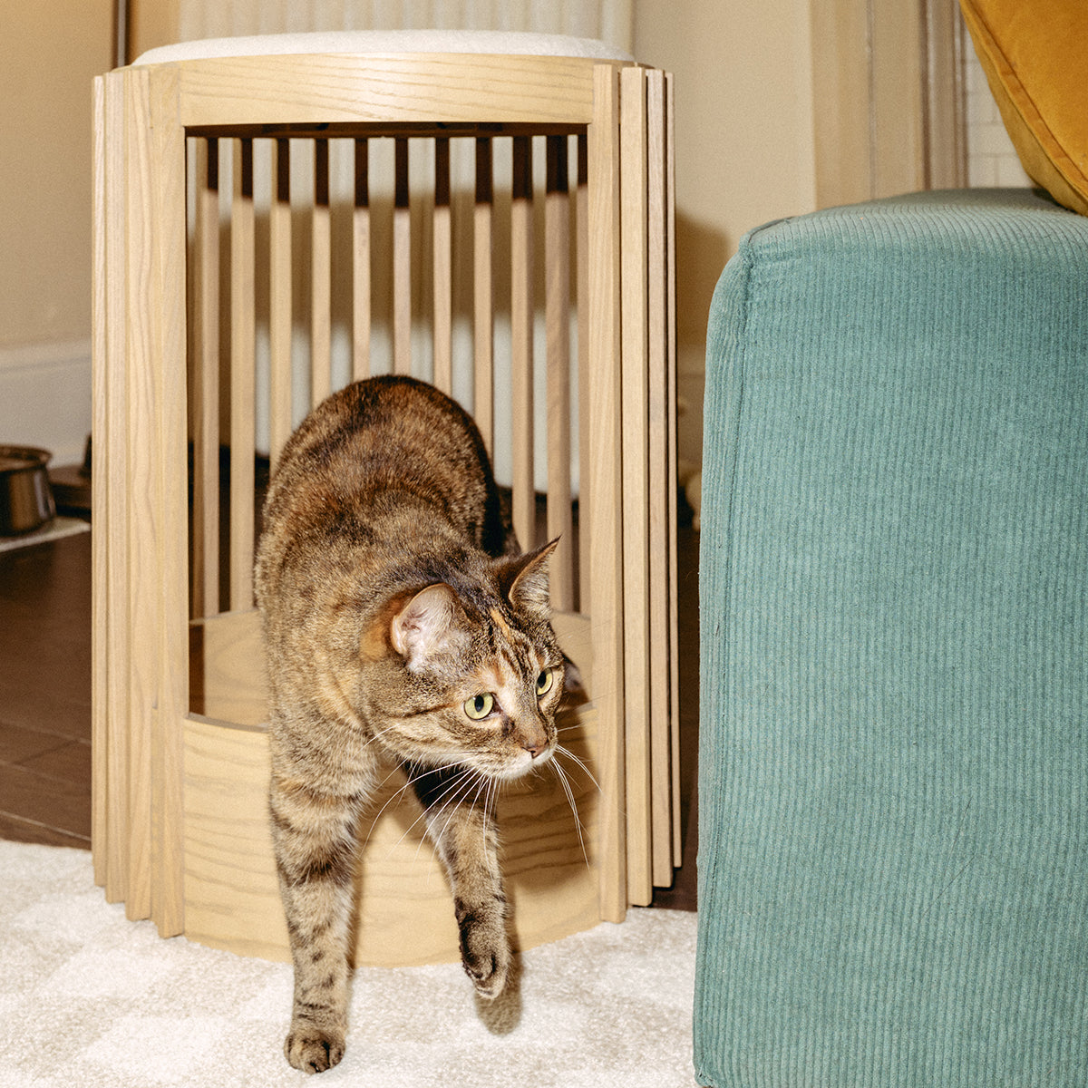 Grove Cat Tower